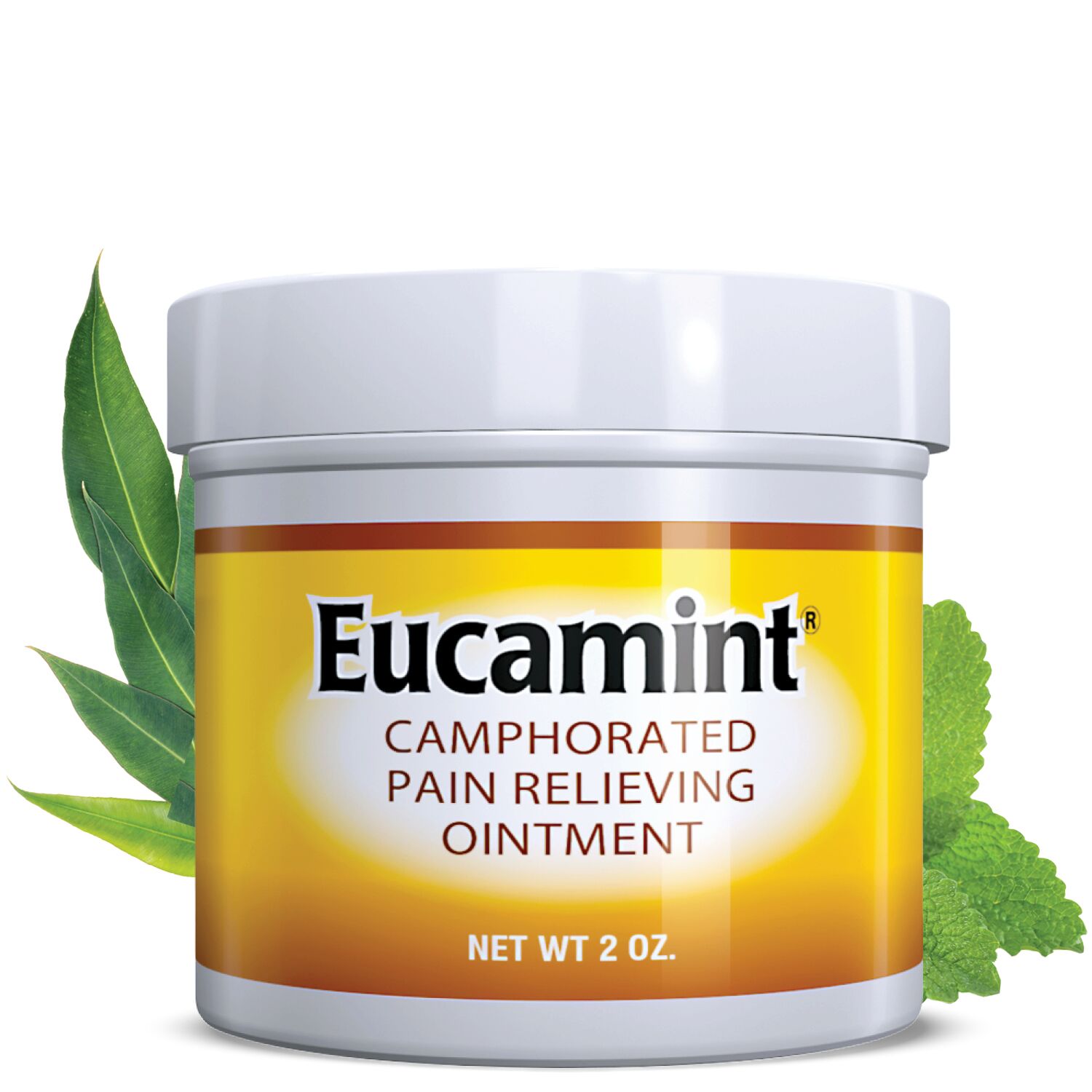 Eucamint® Pain Relievers - 2 Oz