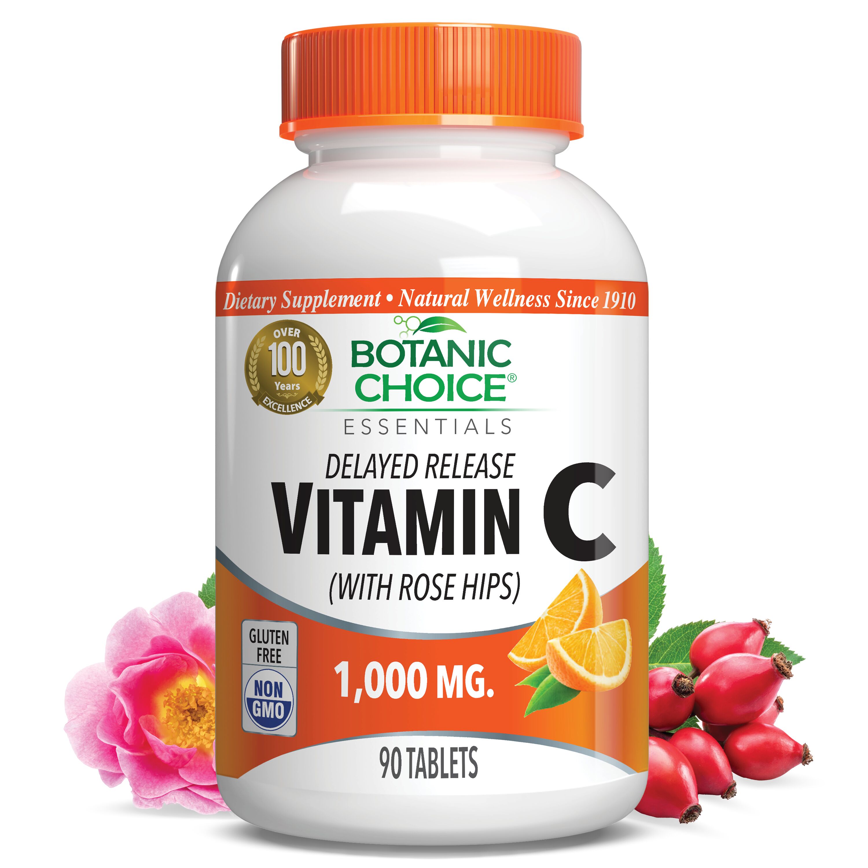 Delayed Release Vitamin C with Rose Hips - 90 Tablets