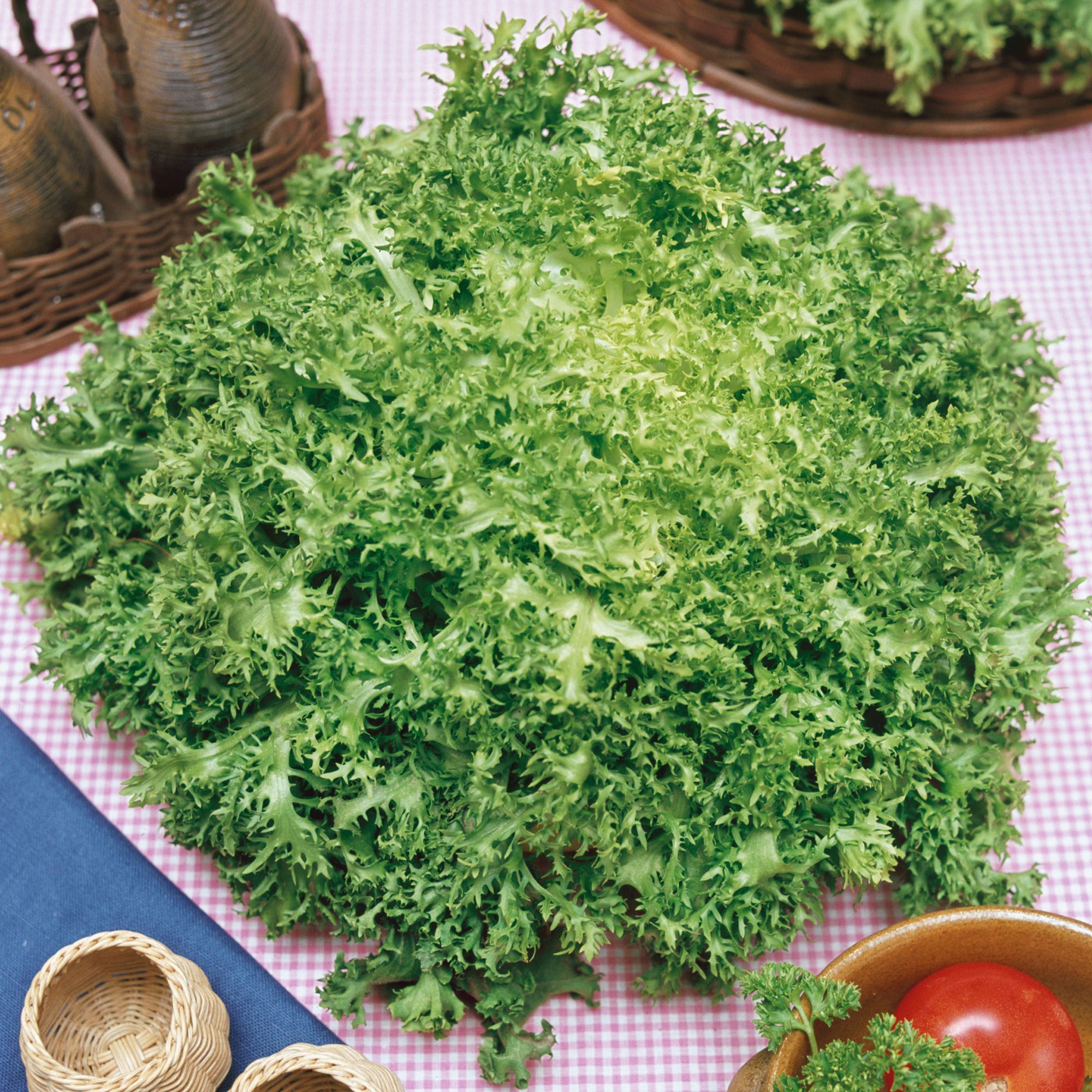 Organic Frisee Endive Seeds - 1 Lb - Gardening - Non-GMO, Heirloom