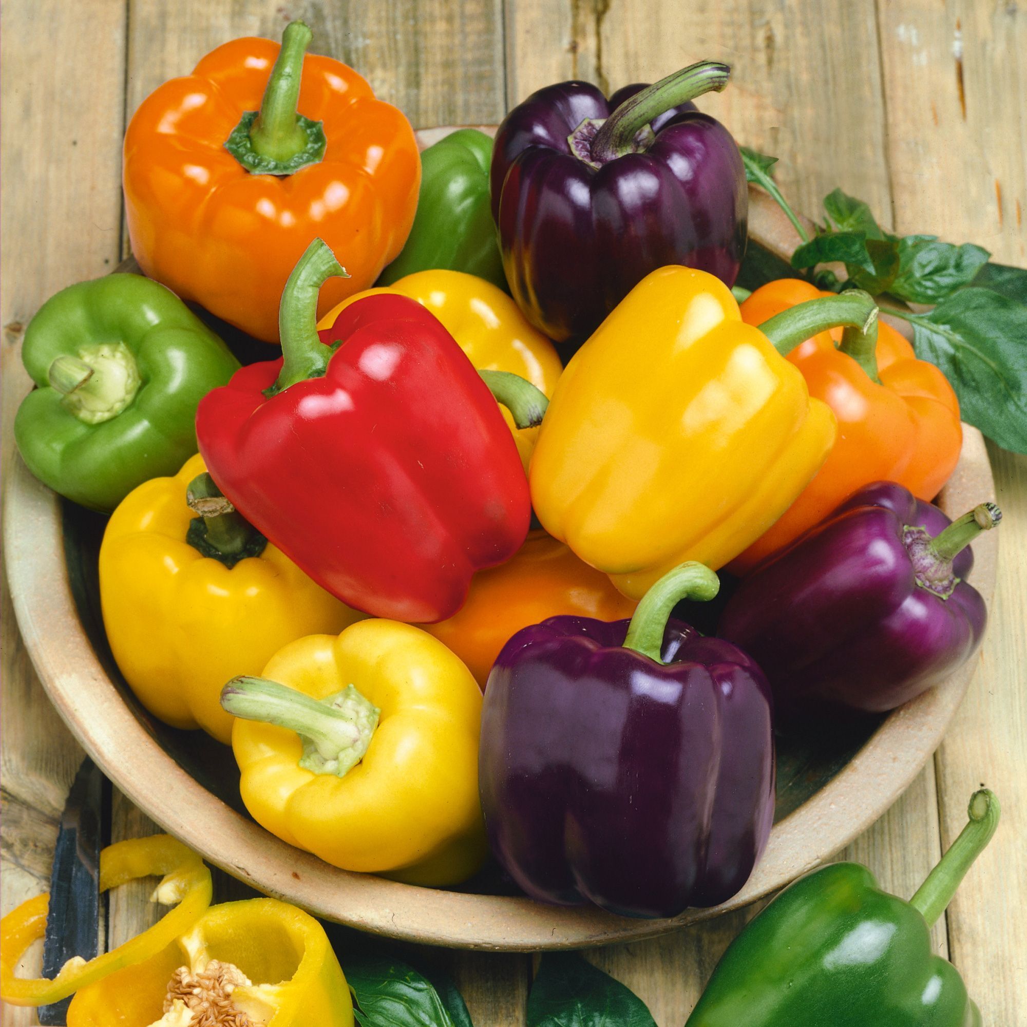 Pepper - Sweet - Rainbow Bell Blend (Organic) - 1 oz - Seeds - Capsicum annuum- Buy Non-GMO - Bulk Farm and Garden Seeds Online