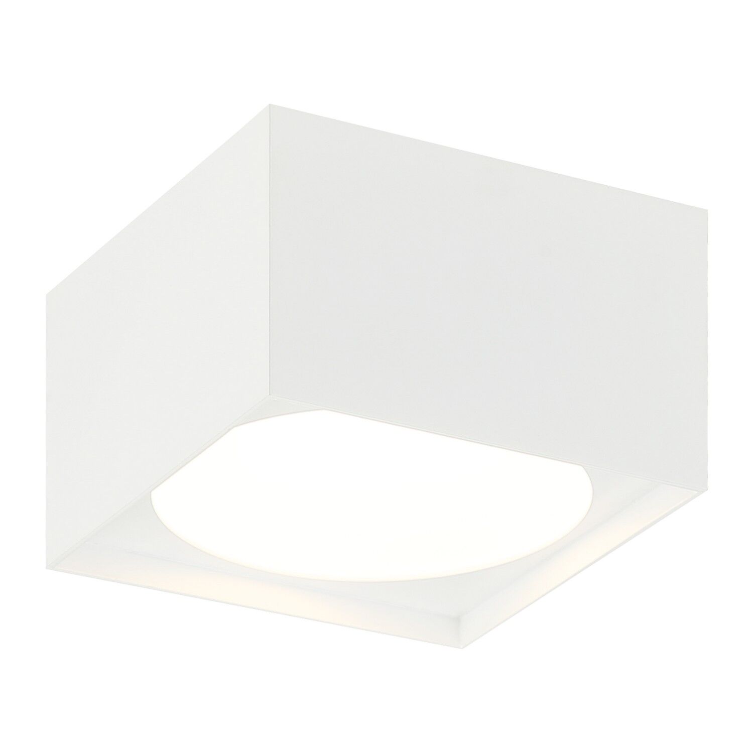 White LED Ceiling Mount from the Caravon Collection